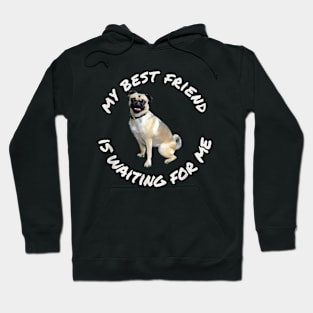 Puggle Puppy Dog My Best Friend Is Waiting Hoodie